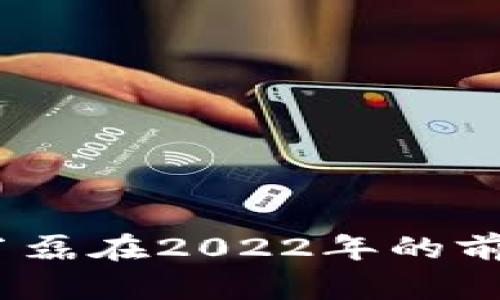 区块链与雷达币：肖磊在2022年的前瞻分析与现实表现