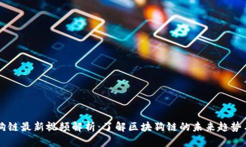 区块狗链最新视频解析：了解区块狗链的未来趋势与应用