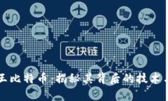区块链之王比特币：揭秘
