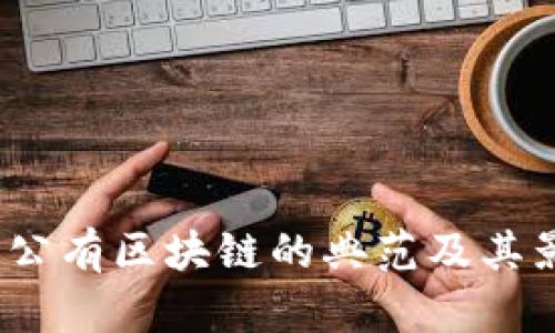 比特币：公有区块链的典范及其影响解析