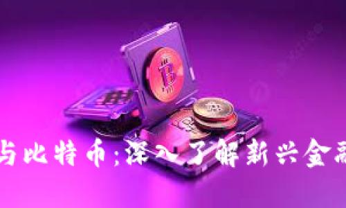 区块链支付与比特币：深入了解新兴金融科技的未来