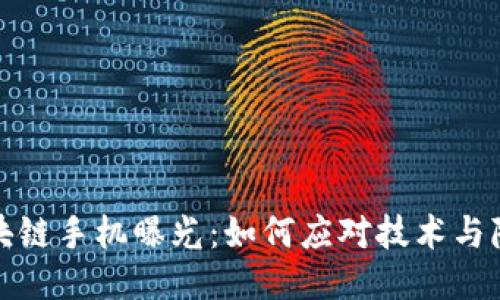 最新区块链手机曝光:如何应对技术与隐私挑战