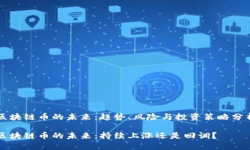 区块链币的未来:趋势、风险与投资策略分析
区块链币的未来:持续上涨还是回调?