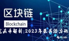 区块链龙头币解析：2023年