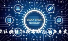 2023年最新区块链TB技术动