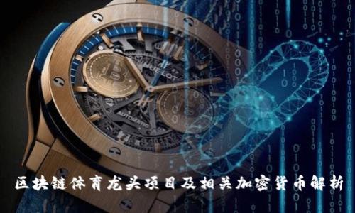区块链体育龙头项目及相关加密货币解析