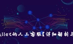 如何找到TPWallet的人工客服