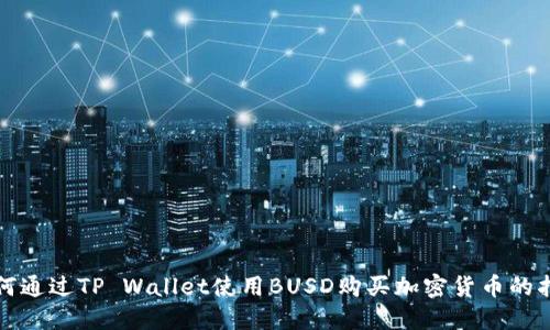 如何通过TP Wallet使用BUSD购买加密货币的指南