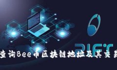 如何查询Bee币区块链地址