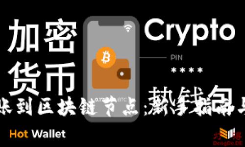如何将资金转账到区块链节点：新手指南与常见问题解答