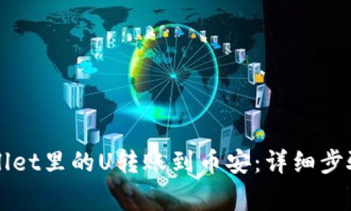 如何将TPWallet里的U转账到币安：详细步骤与注意事项
