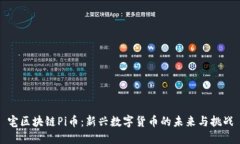 宅区块链Pi币：新兴数字货币的未来与挑战