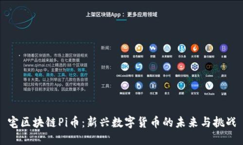 宅区块链Pi币：新兴数字货币的未来与挑战