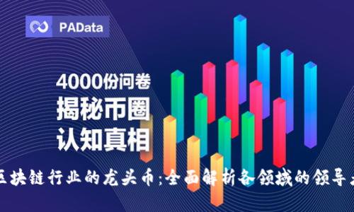 区块链行业的龙头币:全面解析各领域的领导者