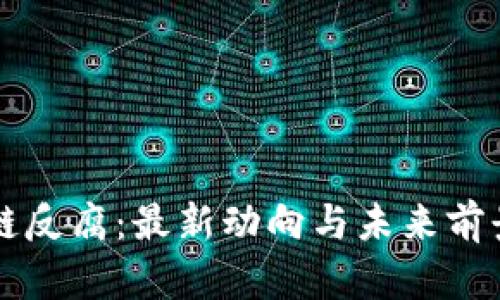 区块链反腐:最新动向与未来前景分析