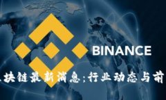 池州区块链最新消息:行业动态与前景分析