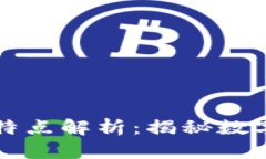 区块链虚拟币的特点解析:揭秘数字货币的核心
