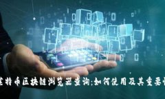 莱特币区块链浏览器查询:如何使用及其重要性