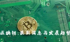 初识区块链:最新消息与发展趋势解析
