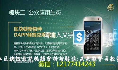 王雪红区块链最新视频分析与解读:未来趋势与投资机遇