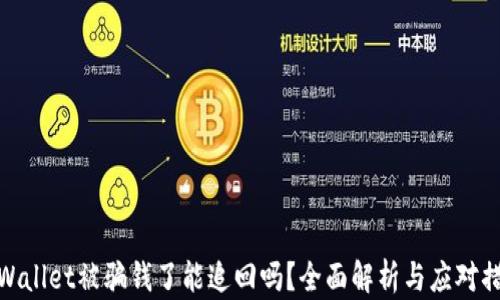 TPWallet被骗钱了能追回吗?全面解析与应对措施