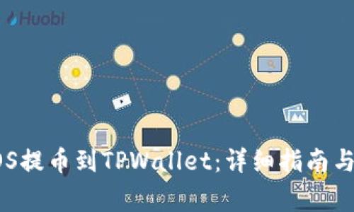 如何将EOS提币到TPWallet:详细指南与注意事项