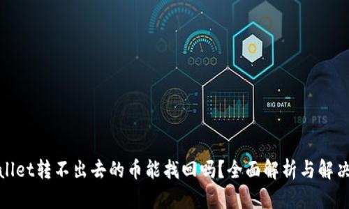 tpwallet转不出去的币能找回吗?全面解析与解决方案