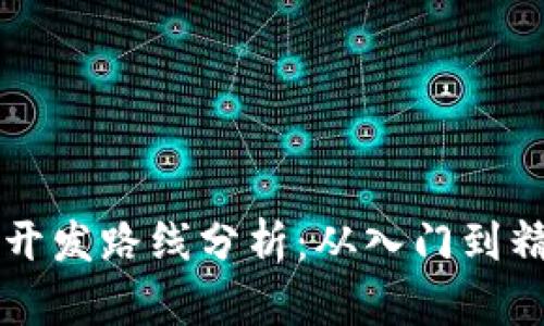 虚拟币区块链开发路线分析:从入门到精通的全面指南