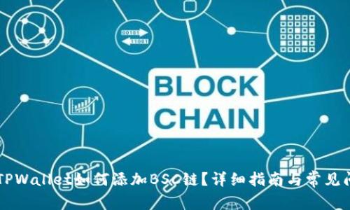 电脑版TPWallet如何添加BSC链?详细指南与常见问题解析