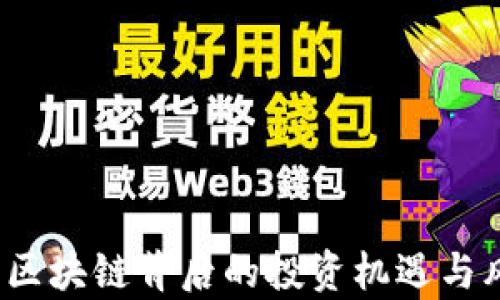 贵人币:区块链背后的投资机遇与风险解析