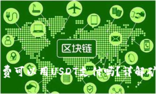 TPWallet矿工费可以用USDT支付吗?详解矿工费支付方式