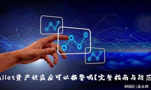 TPWallet资产被盗后可以报警吗?完整指南与防范措施
