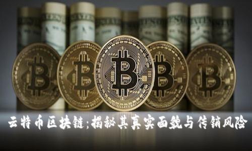云特币区块链:揭秘其真实面貌与传销风险