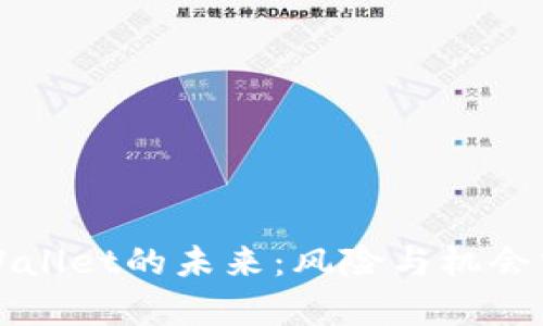 TPWallet的未来:风险与机会分析
